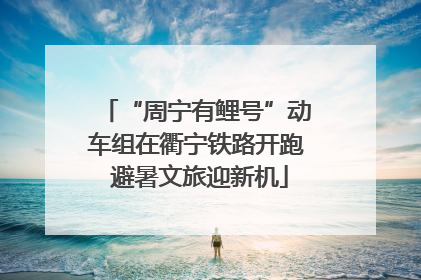 “周宁有鲤号”动车组在衢宁铁路开跑 避暑文旅迎新机